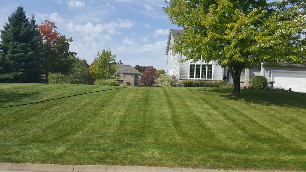 Lawn Care Mound fertilizing mound