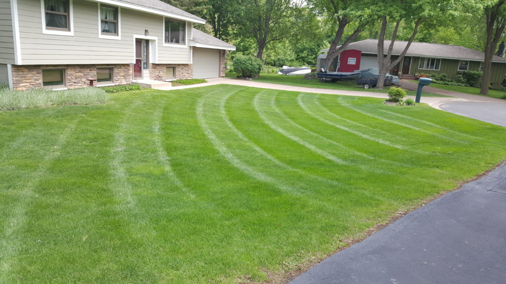 Best Lawn Service Contact us