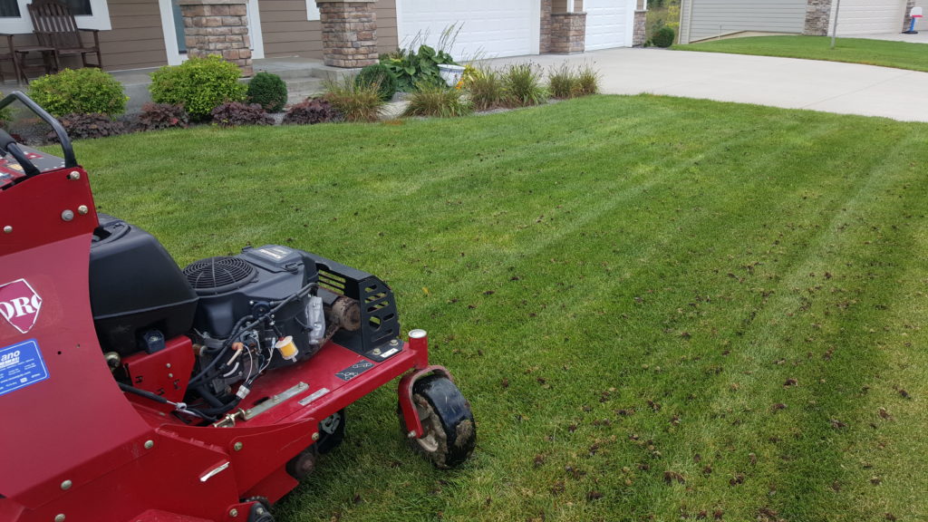 Lawn Aeration