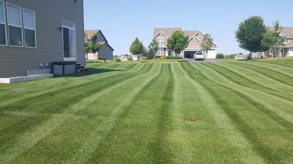 $45 MONTHLY LAWN SERVICE — WBM Maintenance - A full service lawn company